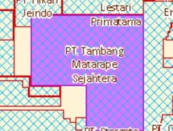 Aliansi Minta Kementerian ESDM Evaluasi Kuota RKAB PT TMS: Fokus Tambang, Smelter Terancam Gagal Dibangun
