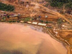 Diduga Masih Beroperasi, PT Pernick Sultra dan SJSU Belum Kantongi Izin Lintas Kawasan Konservasi Labengki