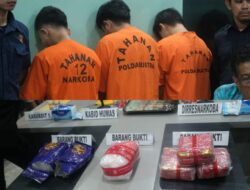 Polda Sultra Bongkar Jaringan Narkoba Fredy Pratama, Sita Sabu Seberat 3,2 Kg di Kendari