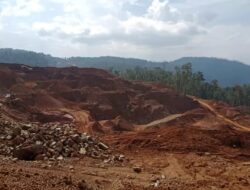 PT TMS Wajib Bayar Denda Administratif atas Pelanggaran di Kawasan Hutan Bombana