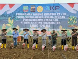 Polda Sultra Tanam Jagung di Konawe Utara, Dukung Ketahanan Pangan dan Pemberdayaan Masyarakat