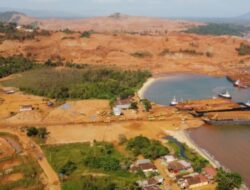 PT Tristaco Mineral Makmur Diduga Abaikan Kewajiban Pascatambang, P3D Desak Izin Dicabut