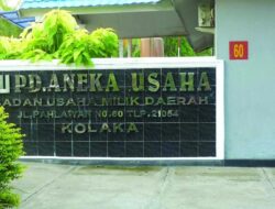 Terlibat Pelanggaran Kawasan Hutan, Perusda Kolaka Wajib Bayar Denda Administratif Sesuai SK Menteri LHK