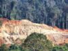 Satgas PKH Geledah Kantor Perusahaan Tambang di Sultra Terkait Dugaan Penggarapan Kawasan Hutan