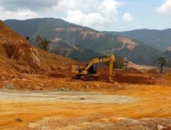 Satgas Halilintar Didesak Usut PT Ifishdeco, Dugaan Kejahatan Kehutanan Hingga Muat Ore Digaris Pantai Terbongkar