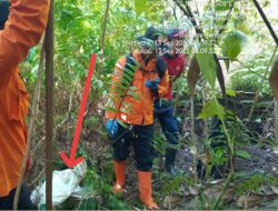 Bocah 4 Tahun di Konsel Ditemukan Tewas Terbungkus Karung di Kebun Warga