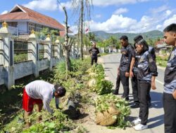 Panen Melimpah, Rutan Unaaha Sukses Kembangkan Budidaya Ubi dalam Karung