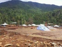 PT Indonusa Arta Mulya Diduga Tambang di Hutan Lindung 125,91 Hektare Tanpa Izin, Aktivis Desak Penindakan