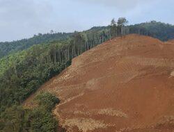 Diduga Ilegal, Aktivitas Tambang PT TMBP di Kolaka Disorot KPH Sultra