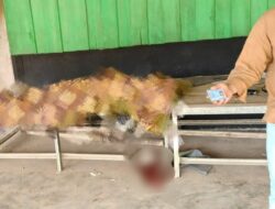 Diduga Hilang Kendali, PNS Asal Konawe Tewas Tertabrak Truk di Jalan Trans Sulawesi Konawe Utara