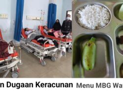 Kasus Keracunan Massal, BGN Nonaktifkan Dapur SPPG Unaaha Konawe dan Dua Wilayah Lain