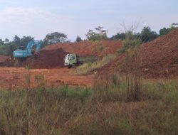 PT ST Nickel Resources Diduga Serobot IUP PT MBS, 10 Tongkang Ore Nikel Raib