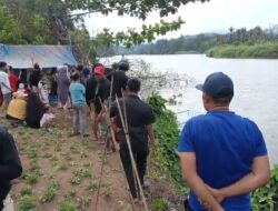 Warga Wanggudu Hilang Diterkam Buaya di Sungai Lasolo, Tim Gabungan Lakukan Pencarian