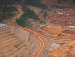 WALHI Soroti Krisis Lingkungan di Konsel: PT Merbau Jaya Indah Rampas Ruang Hidup Warga Demi Sawit