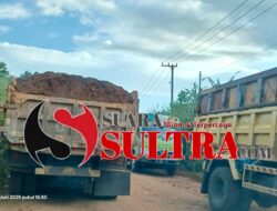 Pelanggaran PT ST Nickel Resources Makin Terang, Tim Terpadu Sultra Dinilai Tak Bertaji