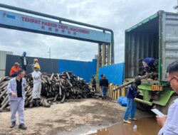 Dugaan Penyelundupan Limbah di PT VDNI Berlanjut: Bea Cukai Kendari Dituding Tutup Mata, Dana Mengalir ke Banyak Pihak?