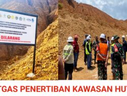 Satgas Penertiban Kawasan Hutan Tertibkan Bekas Tambang PT PDP di Kolaka Utara, Pasang Plang Larangan di Area 54 Hektare