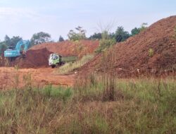 IMIK Jakarta Desak Pemerintah Cabut IUP dan Bekukan RKAB PT ST Nickel Resources