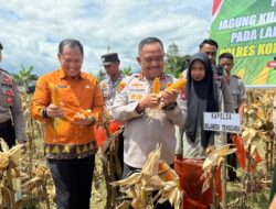 Kapolda Sultra Hadiri Panen Raya Jagung di Konawe: Wujud Sinergi Polri, Pemerintah, dan Masyarakat Dukung Ketahanan Pangan Nasional