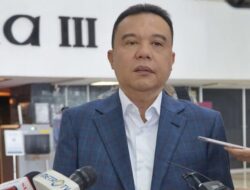 Pengamat Soroti Maraknya Permintaan Penghapusan Berita, Sebut Nama Sufmi Dasco Ahmad