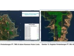 BPK Temukan Aktivitas Tambang di Luar Izin PPKH, Laskar Sultra Desak Penegak Hukum Tindak PT BSJ dan PT TMS