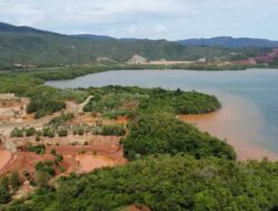 Merawat Lingkungan Merupakan Perbuatan Islami di Era Krisis Ekologis di Pulau Kabaena