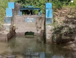 Bendung Rusak, Ketahanan Pangan Terancam: Petani Asinua Konawe Harap Perhatian Pemerintah