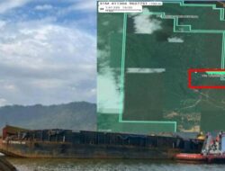 P3D Konut: Sengketa PT Bososi Pratama Diduga Disandera untuk Lindungi Tambang Ilegal