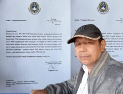 Pengawas Pertandingan Konawe Layangkan Protes ke PSSI Pusat, Soroti Penugasan PP Tak Berlisensi di Bupati Cup