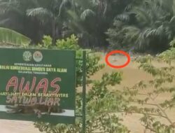BKSDA Sultra Pasang Papan Peringatan di Sungai Wanggu, Antisipasi Kemunculan Buaya Muara