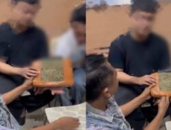 Satresnarkoba Polresta Kendari Gagalkan Peredaran Ganja 1 Kg, Dua Kurir Diamankan