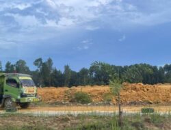 KPPL Kecam Dugaan Perusakan Mangrove oleh PT Artha Graha di Teluk Kendari