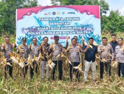 Dukung Ketahanan Pangan Nasional, Polres Konawe Gelar Panen Raya Jagung Serentak Kuartal I 2026