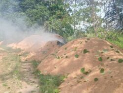 Sekam Padi Dibakar di Pinggir Saluran Irigasi Lalohao, Warga Keluhkan Asap dan Dampak Kesehatan