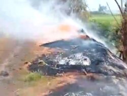 Pemilik Penggilingan Padi Klarifikasi Pembakaran Sekam di Lalohao, Klaim Atas Permintaan Pemilik Lahan