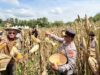 Polda Sultra Gelar Panen Raya Jagung Serentak Kuartal I 2026 di Kendari