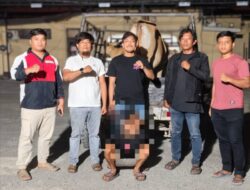 Curi 14 Ekor Sapi di Tiga Lokasi, Pria Asal Kecamatan Anggaberi Dibekuk Polres Konawe