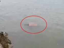 Geger, Mayat Pria Misterius Ditemukan Mengapung di Perairan Teluk Kendari