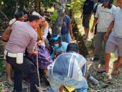 Tabrakan Maut di Poros Mowila–Pudahoa, Dua Pengendara Motor Tewas di Tempat