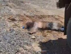 Pekerja Meninggal Dunia dalam Kecelakaan Kerja di Kawasan PT Indonesia Pomalaa Industrial Park Kolaka