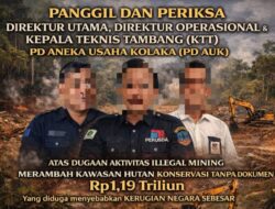 HAMI Sultra–Jakarta Desak ESDM, Ditjen Minerba, dan KLHK Hentikan Tambang PD AUK di Kolaka
