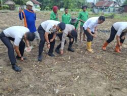 Dukung Asta Cita Presiden, Rutan Unaaha Tanam Jagung Bersama WBP Perkuat Ketahanan Pangan Konawe