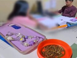 ART di Kendari Barat Ditangkap, Diduga Ganti Perhiasan Majikan dengan Imitasi, Kerugian Capai Rp48 Juta