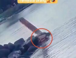 Viral Video Diduga Aksi Tak Pantas di Area Pantai, Warganet Heboh