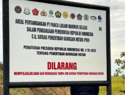 Satgas PKH Ambil Alih Lahan Tambang PT Panca Logam Makmur di Bombana