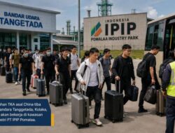 Puluhan TKA Asal China Tiba di Kolaka, Warga Soroti Kesempatan Kerja untuk Tenaga Lokal