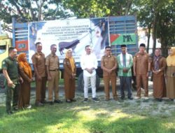 Warga Desa Tabanggele Terima Sapi Kurban Presiden Prabowo, Bobotnya Capai 1,2 Ton