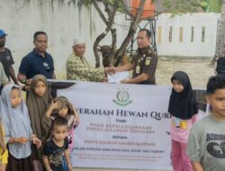 Sambut Idul Adha 1447 H, Kejati Sultra Salurkan Hewan Kurban ke Dua Panti Asuhan di Kendari