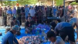 Bahtra Banong Kurban Sapi Jumbo Lebih dari 1 Ton di Konawe, Daging Dibagikan untuk Warga