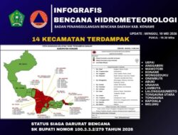 410 Rumah dan Ratusan Hektare Lahan Pertanian Terendam Banjir di Konawe
